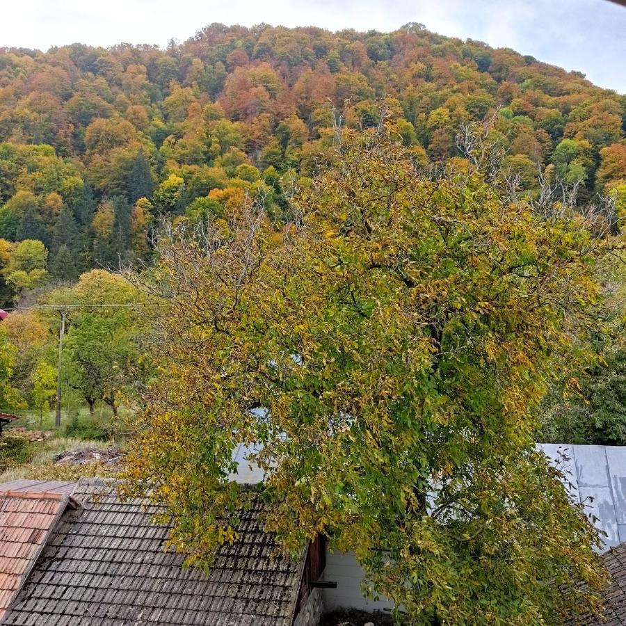 Zori De Zi Hotel Bran  Exterior foto
